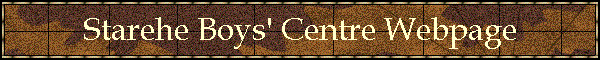 Starehe Boys' Centre Webpage